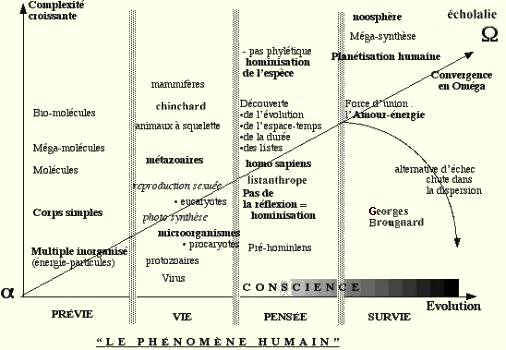 Reprise améliorée du tableau du progrès par Teilhard de Chardin. «chinchard» est ajouté au-dessus d'«animaux à squelette», «listanthrope» en dessous de «homo sapiens», «echolalie» au dessus du point oméga et «Georges Brougnard» en dessous de l'«échec dans la dispersion», quatre leitmotive du site