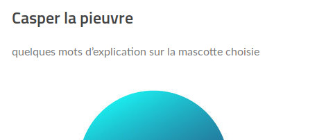 Casper la pieuvre, «quelques mots d'explication sur la mascotte choisie» et le sommet de la tête